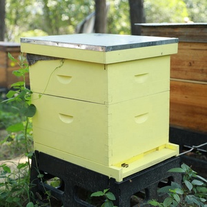 Langstroth sơn <span class=keywords><strong>honeybee</strong></span> Hive hộp tổ ong 10 khung sơn bằng gỗ hộp tổ ong - Product Image 2