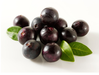 Le fabricant fournit des matières premières en poudre de jus de fruits naturels de qualité alimentaire de bonne qualité en provenance du Brésil poudre de baies d'açai