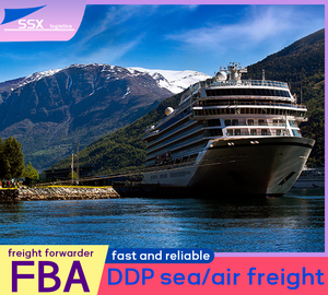 Agente de carga de FBA a Eslovaquia Eslovenia Irlanda por envío aéreo desde China Transit Sun Time Mon más barato - Product Image 6