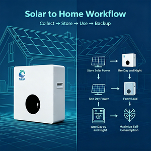 แบตเตอรี่สำรองพลังงานแสงอาทิตย์สำหรับบ้าน Trucell 51.2V แบบติดผนัง LiFePO4 10kWh BMS 300Ah IP65 ระบบไฮบริดกริด รองรับการสื่อสารผ่าน CAN  ใช้งานได้ 6000 รอบการชาร์จ - Product Image 2