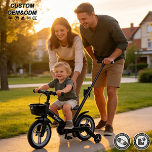 Vélo d'équilibre professionnel OEM 5-en-1 pour enfants avec poignée de poussée, réglable sans outil, pour tout-petits de 2 à 6 ans - Product Image 1