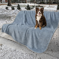 Plaid en laine moderne, moelleux, imperméable et réversible pour chats, doux et chaud, anti-urine, lavable (Bleu Poussiéreux 60x80)