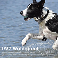 Collar de Rastreo GPS para Perros IP65 a Prueba de Agua con Localizador Rápido 4G, GSM / GPRS / GPS / WIFI, Compatible con IOS/Android