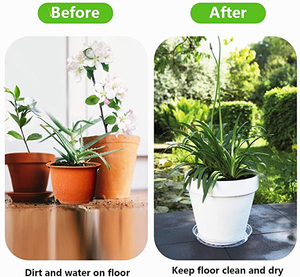 Soucoupes pour plantes claires 18 Pack (6/8/10 pouces) <span class=keywords><strong>bac</strong></span> à <span class=keywords><strong>fleurs</strong></span> égouttoir intérieur extérieur plantes soucoupes de jardin Pot de plantes soucoupe plateau - Product Image 5