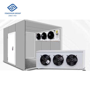 Cámara Frigorífica de Gran Tamaño para Logística, <span class=keywords><strong>20m2</strong></span>, 50m2, 100m2, Almacenamiento Refrigerado de Pescado/Carne Fresca/Res - Product Image 3