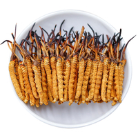 Prix de Gros Cordycépine Produits Longrich Champignon Séché en Vrac Mycélium de Cordyceps Champignon Entier Cordyceps Sinensis Militaris