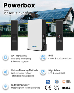 Batería Solar de Iones de Litio IP65 Dyness <span class=keywords><strong>Powerbox</strong></span> <span class=keywords><strong>Pro</strong></span> 51.2V 200Ah 10kWh LifePO4, Batería de Litio Montada en Pared - Product Image 2
