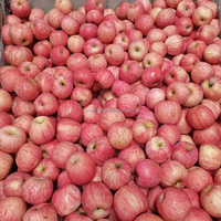 Chinese Appel Heerlijke Koninklijke Gala Appels Verse Rode Fuji Appel