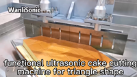 Wanli Meilleures Ventes Machines de Cuisson Gâteau à la Crème pour Triangle Machine de Découpe Alimentaire Ultrasonique
