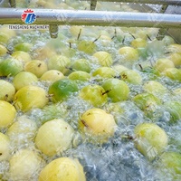 Fabriek Prijs Automatische Fruit Groente Sorteren Apple Aardappel Tomaat Oranje Avocado Ui Grading Wassen Size Wegen Machine