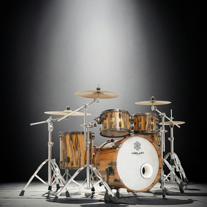 Bộ trống Hailun Yishujia chuyên nghiệp, màu đen trắng, gỗ mun, chất lượng cao, giá rẻ, sản xuất tại nhà máy. - Product Image 2