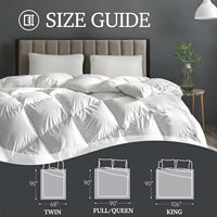 Couette en fibre de duvet d'oie Grand White Goose, taille Queen, chaleur supplémentaire, duvet d'hiver moelleux, insert de couette hypoallergénique, 75% de garnissage en plumes d'oie