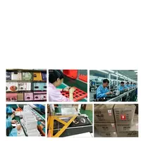 Audífonos Inalámbricos con Certificación IP67, AI, CE, FCC, RoHS, Caja de Regalo, Llamadas Bluetooth, Reloj Inteligente Promocional, Personalización de Logotipo OEM, Venta al Por Mayor