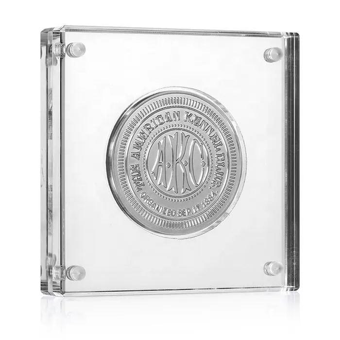RAY YI Magnetic Square Acrylic Coin box Display Case Clear Acrylic coin Display holder with magnets Acrylic Coins Block stand