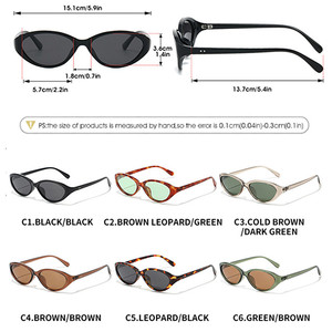 Lunettes de soleil polarisées œil de chat Y2K vintage 2026 avec logo personnalisé, imprimé léopard, protection UV400, monture TR90, pour hommes et femmes - Product Image 6