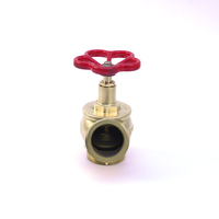Robinet d'angle en laiton à filetage externe de 2 pouces, adaptateur oblique pour tuyau d'incendie, pour la lutte contre l'incendie et les secours d'urgence - Durable, installation facile