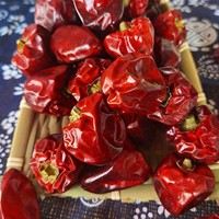 Piment rouge séché non soufré de qualité usine, à chair épaisse, doux et aromatique, poivron rond pour la restauration de hot pot, assaisonnement, vente en gros OEM