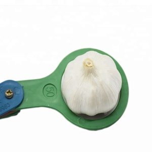 China nueva cosecha <span class=keywords><strong>elefante</strong></span> blanco puro <span class=keywords><strong>ajo</strong></span> precio - Product Image 5