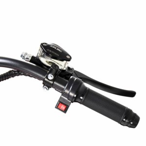 Scooter Elettrico 2000W 20AH in Stock nel Magazzino Europeo, Modello Citycoco - Product Image 5