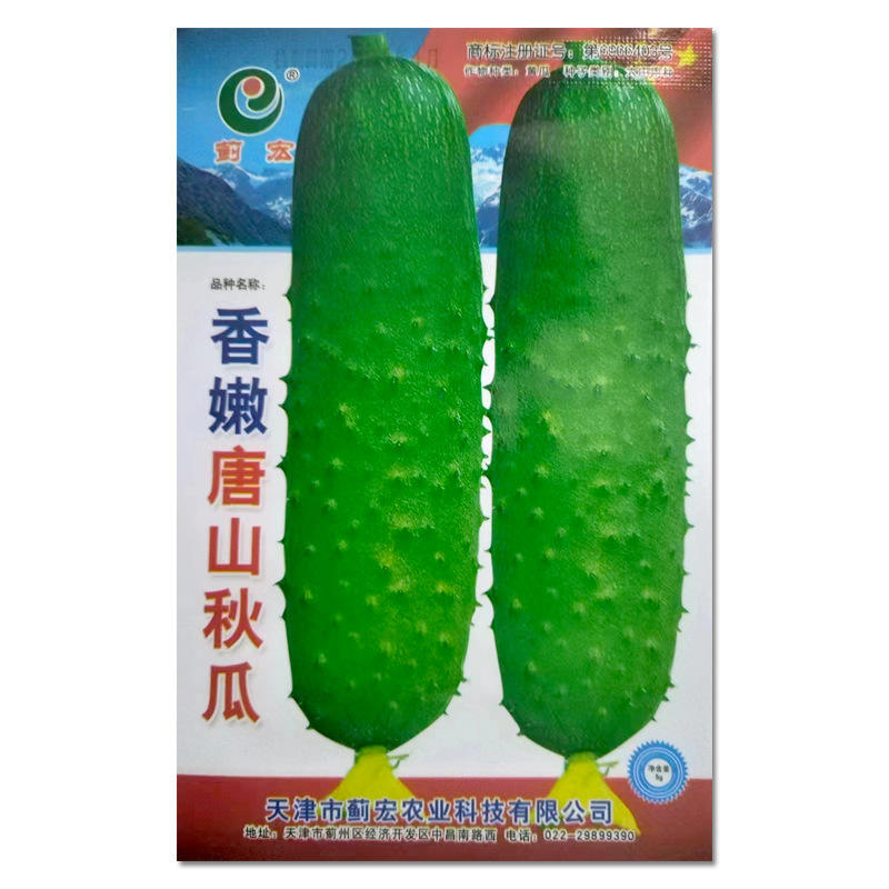 3 #   Concombre de Tangshan