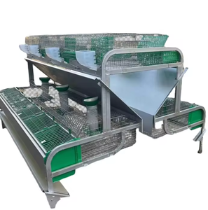 Jaulas para Conejas Madres y Crías Equipamiento para Granjas de Cunicultura - Product Image 1