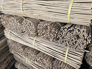 Durable Tonkin <b>Bamboo</b> Stakes for Vineyard and Farm Support Eco Friendly <b>Bamboo</b> Garden <b>Canes</b> for Agriculture - Product Image 6