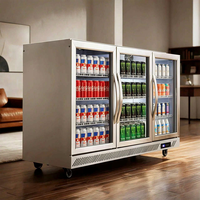 Vitrina Refrigerada Comercial de Acero Inoxidable de 220V con Enfriamiento por Aire y Compresor para Bares y Otras Bebidas