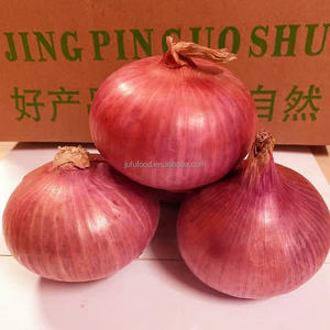 Oignons frais indiens blancs purs de haute qualité en vrac, 4-10 cm, classe A, marque JUFU, meilleur prix, exportateur en gros du Shandong - Product Image 4