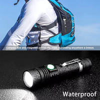 Prix d'usine super lumineux haute puissance longue portée puissant rechargeable Zoomable petit t6 lampes de poche led torches lampe de poche