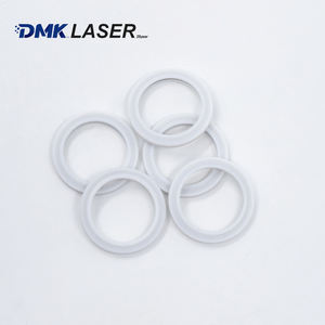 レーザーツール用の広い応用性高抵抗Oリングシールリング - Product Image 1