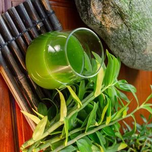 Hastes Frescas de <span class=keywords><strong>Dendrobium</strong></span> Candidum de Seis Anos - Product Image 3