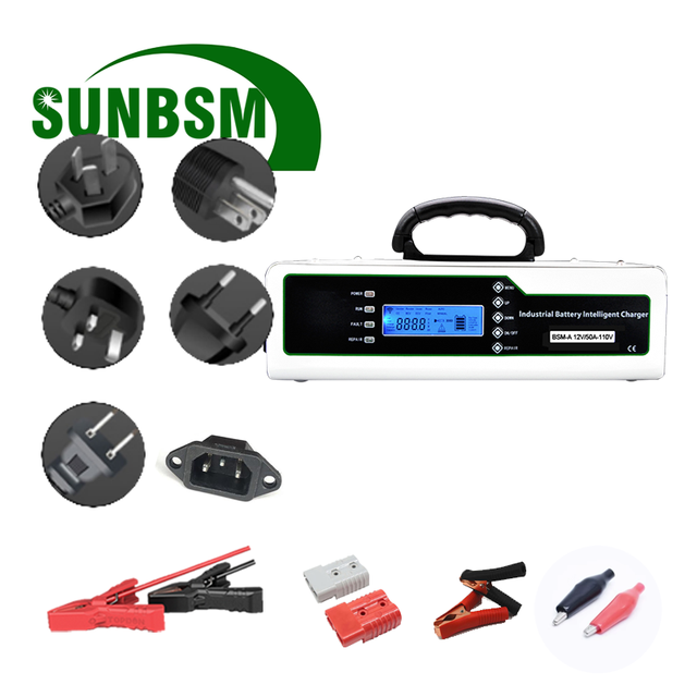 Portable 12v 24v 48v Battery Charger 110v 220v 10a 20a 25a Smart Lifepo4 Lead-acid Battery Charger