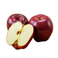 Exportateurs de pommes fraîches, pommes rouges fraîches de haute qualité, pommes Huaniu