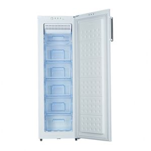 Congélateur vertical sans givre à porte pleine 188L, prix usine abordable - Product Image 3