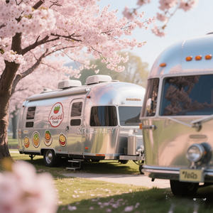 Camión de Comida Móvil 2025 para Pizza y Café al Aire Libre con VIN, Personalizado en EE. UU., Totalmente Equipado - Product Image 6