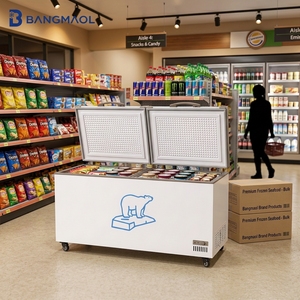 Congelador Horizontal de Alta Capacidade Branco com Acesso Duplo para Armazenamento de Alimentos Congelados e Ingredientes para Atacado - Product Image 1