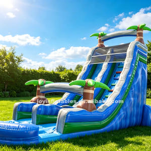 Tobogán Acuático Inflable <span class=keywords><strong>de</strong></span> Grado Comercial con Gran Piscina <span class=keywords><strong>de</strong></span> Chapoteo y Dos Toboganes para Negocios <span class=keywords><strong>de</strong></span> <span class=keywords><strong>Alquiler</strong></span> Comercial - Product Image 2