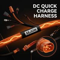 Faisceau de câblage SEJOW DC à charge rapide 1000V 500A en cuivre pur OEM IP67 étanche IATF16949 pour station de recharge de véhicules électriques