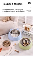 Bol de nourriture pour chat en acier inoxydable avec protection du cou, 3 tailles, bol à boire pour chat et chien, vente chaude