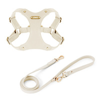 Ensemble laisse et harnais pour chien en cuir véritable de luxe, imperméable, anti-adhérent aux poils, anti-traction, pour chiens de petite et moyenne taille