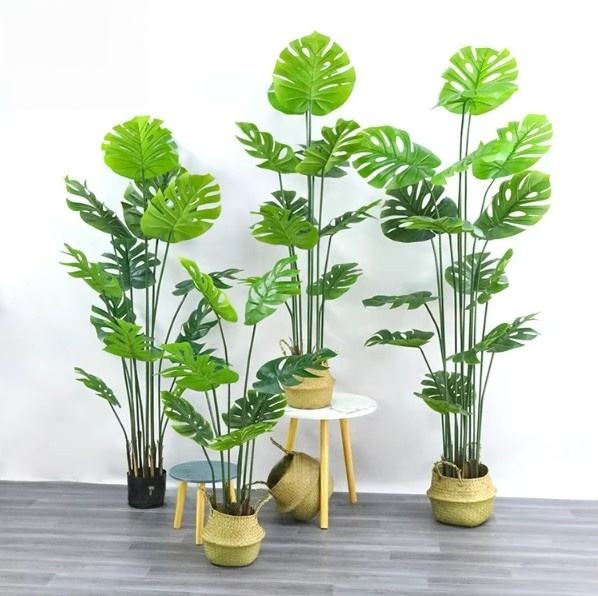Vert Nouveau type de feuille de monstera de haute qualité