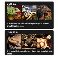 NOMOYPET Reptile UVB Tube Lampe Fluorescente Lampe Titulaire Luminaire