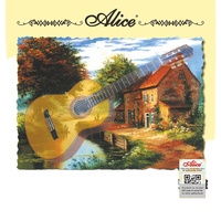 Multi Specification Alice Playing Silver Plated Copper Alloy Wrapped Strings A106 Classical Guitar Strings
