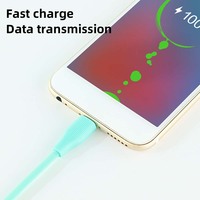 SD-153 mignon dessin animé 2.1A 1M transfert de charge rapide USB vers Type C Micro lumière câbles de données fils pour Iphone 6 7X12 13 14 15
