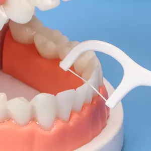 + Guber Oral Hygiene Products OEM 50 Picks Per Box Eco Friendly Tooth Stick Plastic Toothpick Dental Floss Picks