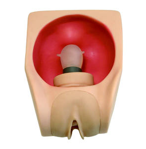 Weibliches Kondom-Übungs modell, weibliche Empfängnis verhütung, weiblicher Verhütung praxis simulator - Product Image 1