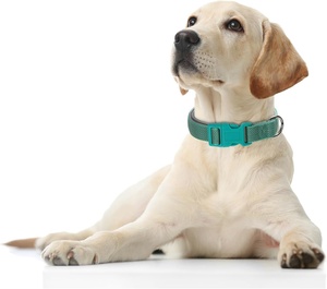 Rode hondenhalsband reflecterend veiligheidsneopreen gevoerd basic duurzaam zacht nylon bloemenpatroon hondenhalsband voor honden & katten XS-XL - Product Image 2