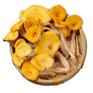 Champignons jaunes naturels de haute qualité cultivés Cantharellus Cibarius Shiitake champignon chanterelle séché cru et déshydraté - Product Image 1