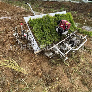 Trasplantadora Manual de 6 Filas con Motor para Plántulas de Arroz, Uso Agrícola - Product Image 4