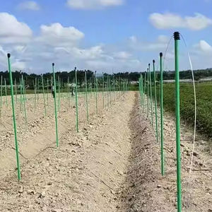 Columnas de soporte de fibra de vidrio y postes de soporte de fibra de vidrio utilizados en viveros - Product Image 3